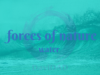 the forces of nature: part II English learn speak improve davidad read listen vocabulary pronunciation natural disaster forces nature water